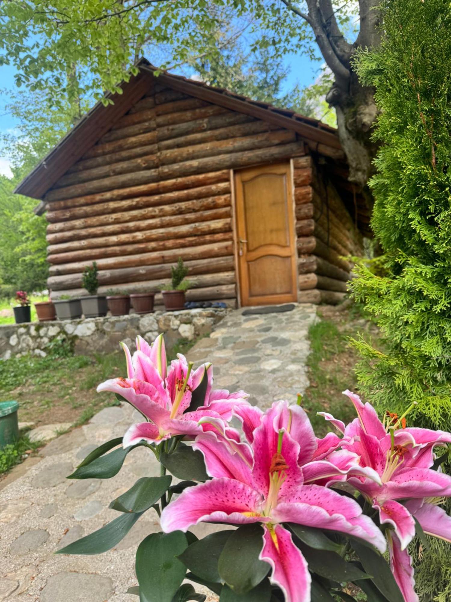 Hyrmet Demushi Bed and breakfast Valbone